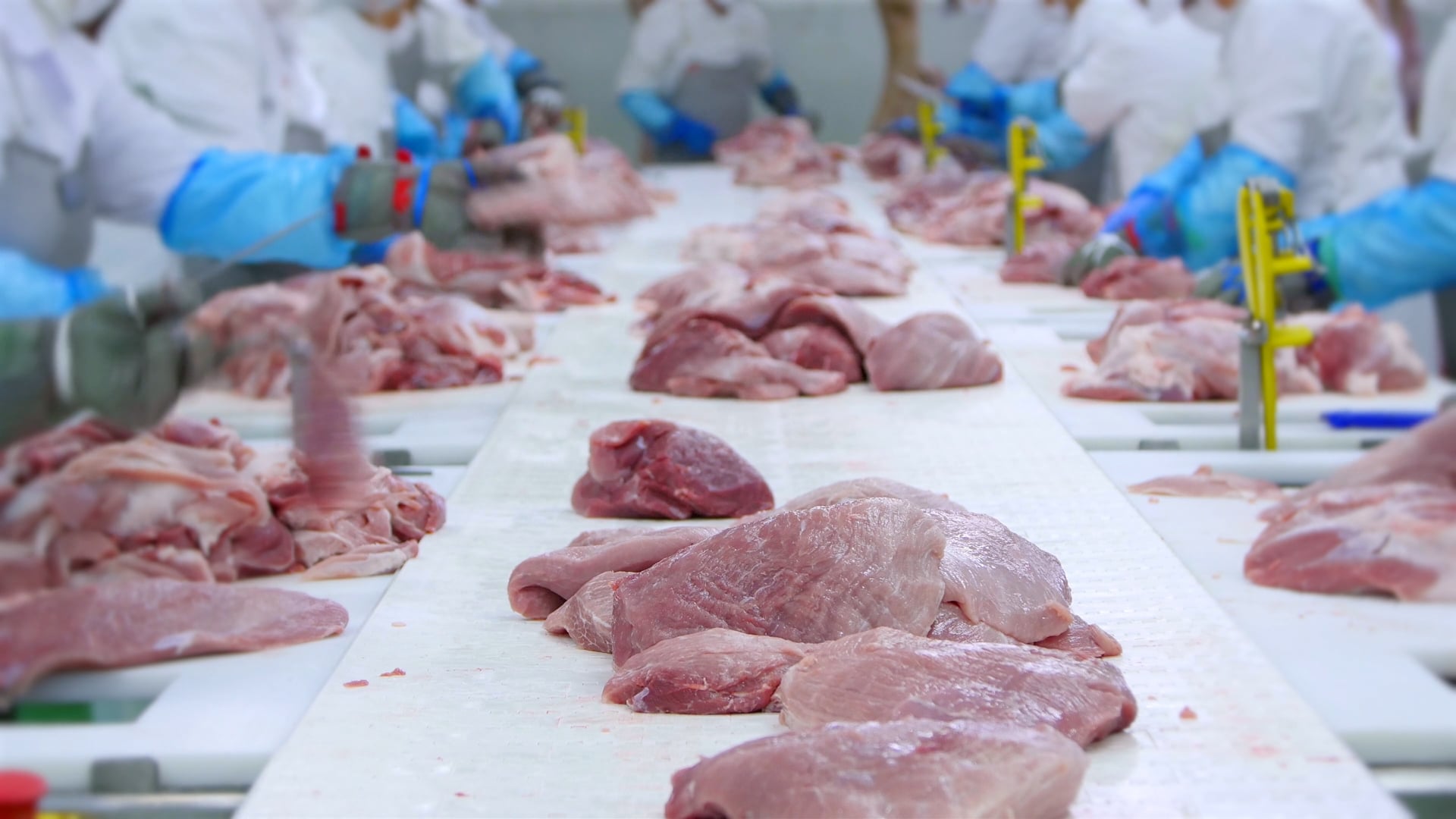 FOOD PROCESSING TOUCH SCREEN Fleisch auf einem Tisch mit Menschen im Hintergrund